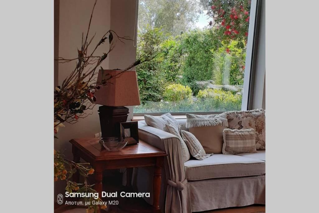 Virna S Home 스키니아스 외부 사진